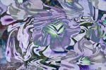 fiore astratto in immagine di dominante viola con sfumature bianche e verdi