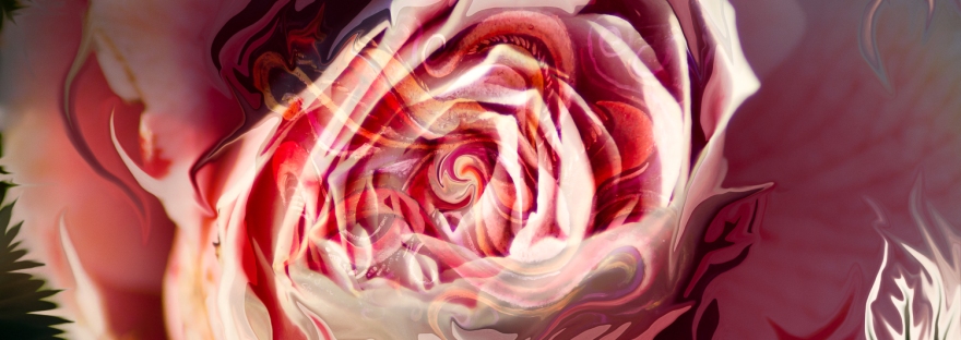 immagine arte moderna astratta con vortice centrale a forma di bocciolo di rosa di colore rosa dominante e forme fluide fluttuanti che richiamano forme della natura