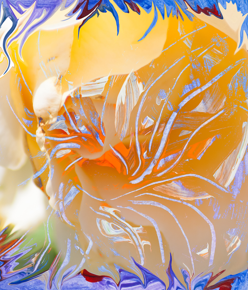 immagine di arte astratta dai colori caldi con forma simile a fiore con pistilli con forme astratte che si sviluppano da un nucleo di colore arancione